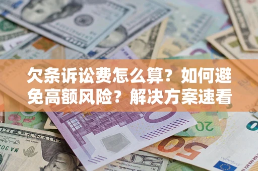 北京欠条诉讼费怎么算？如何避免高额风险？解决方案速看！