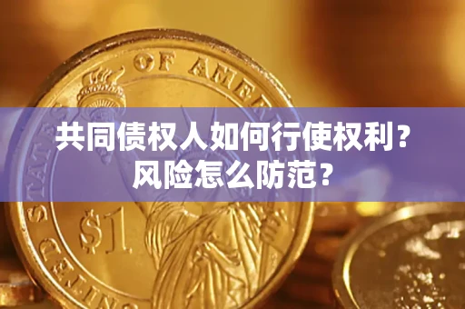 北京共同债权人如何行使权利？风险怎么防范？