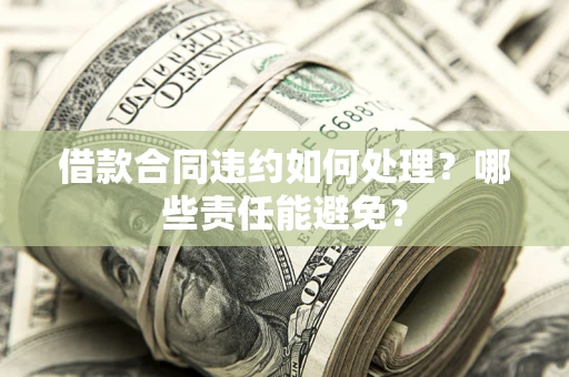 北京借款合同违约如何处理？哪些责任能避免？
