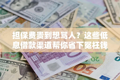 北京担保费贵到想骂人？这些低息借款渠道帮你省下冤枉钱