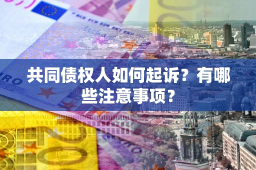 北京共同债权人如何起诉？有哪些注意事项？
